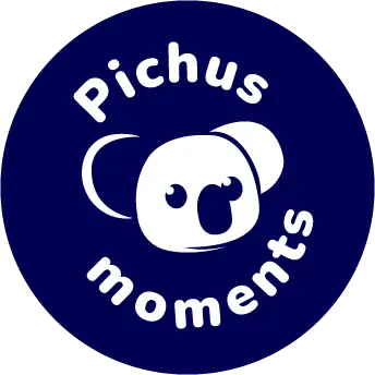 PichuMoments