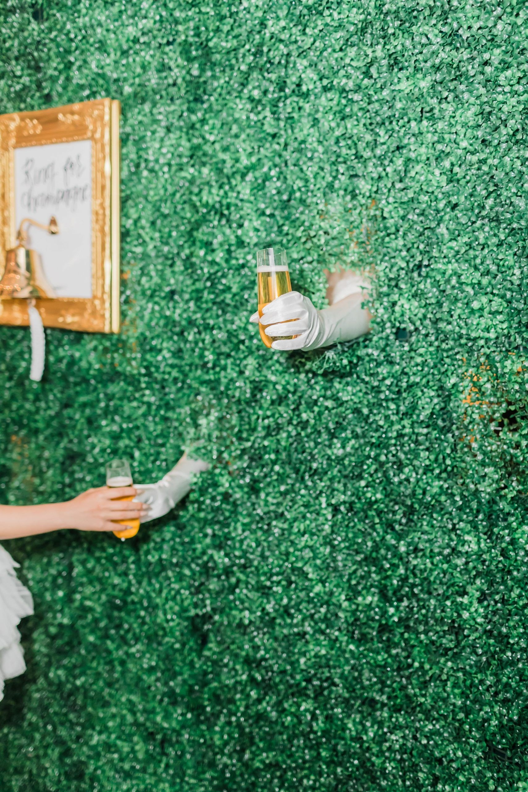 Nuestras Recomendaciones